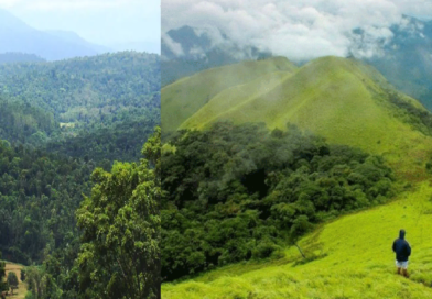 Explore the Enchanting Beauty of Coorg