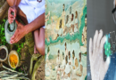 The Story of Health: From Ancient Remedies to Modern Medicine