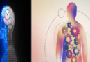 Understanding Circadian Rhythm: The Body's Internal Clock
