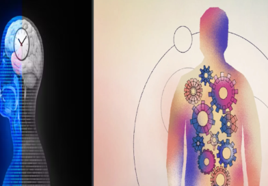 Understanding Circadian Rhythm: The Body's Internal Clock