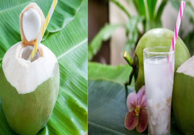 Benefits of coconut water in winter: Winter Health Benefits of Coconut Water; From Immunity to Weight Loss