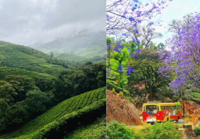Planning a September Trip? 5 Stunning South Indian Destinations You Can’t Miss