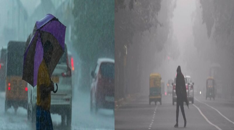 IMD Weather Alert: Heavy Rain Warning in Andhra Pradesh; Severe Cold Wave to Grip North India