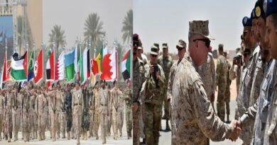 NATO Divided Over Role in Middle East Conflict